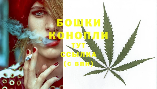 тгк Зеленодольск