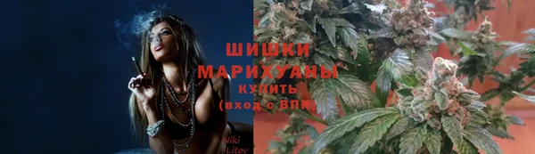 тгк Зеленодольск