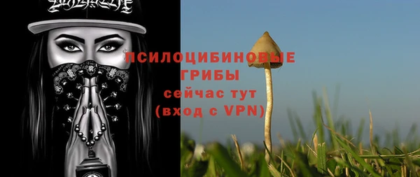 тгк Зеленодольск