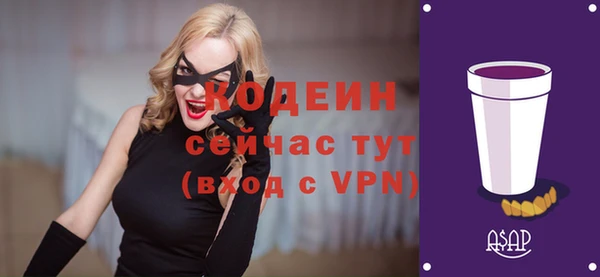 твердый Чегем