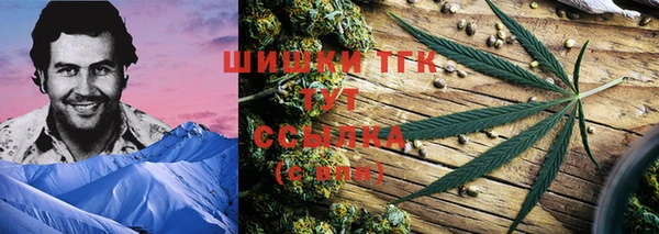 тгк Зеленодольск