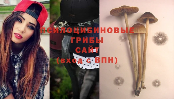 тгк Зеленодольск
