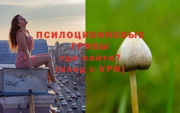 тгк Зеленодольск