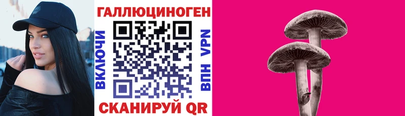 Псилоцибиновые грибы Psilocybe  как найти   мега ТОР  Шарыпово 